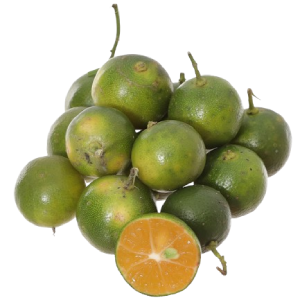 Tắc (Quất)