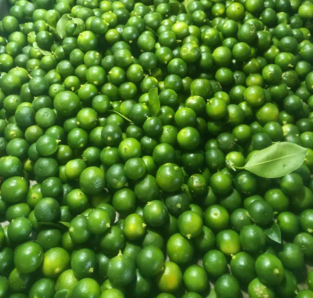 Tắc (Quất)